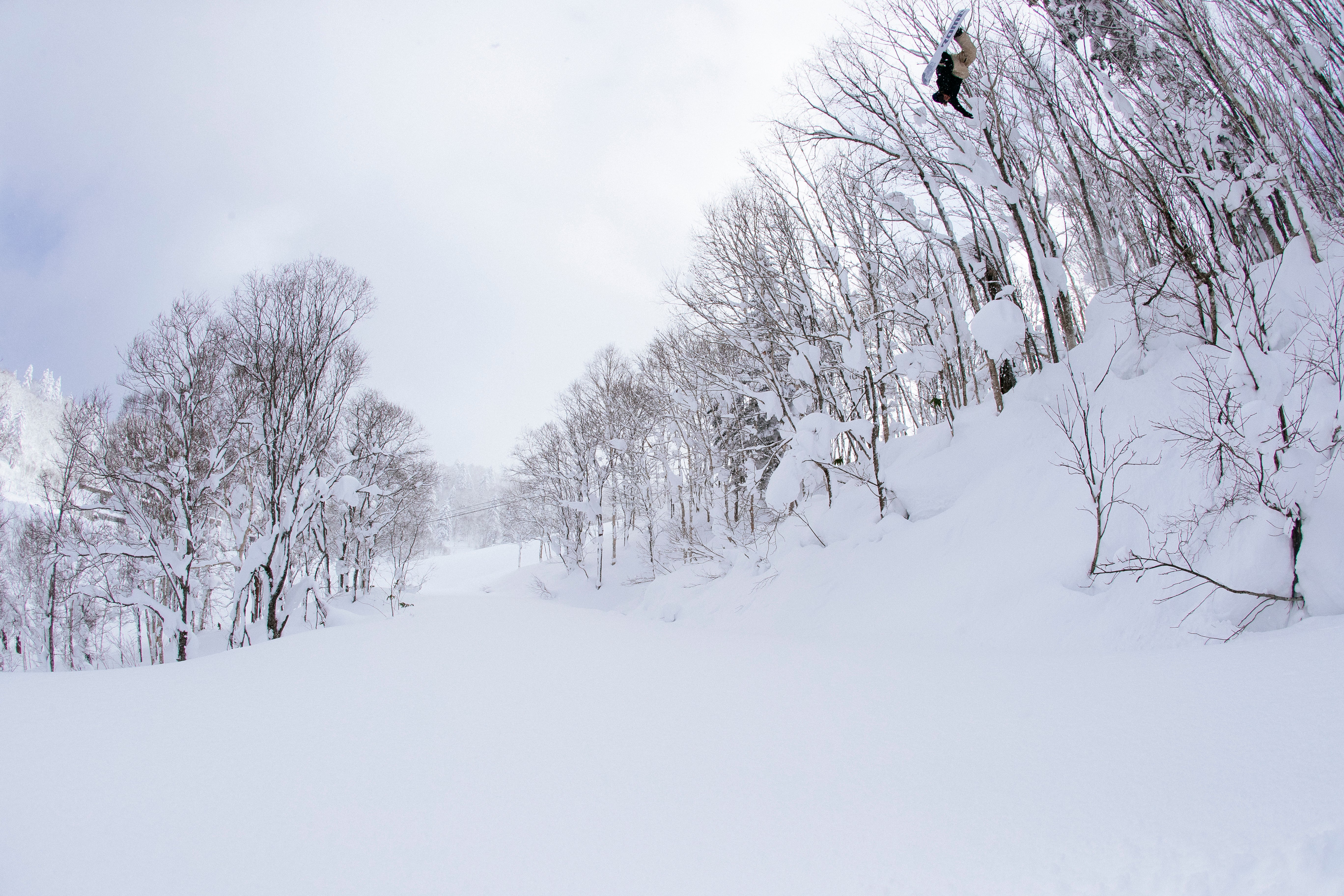 Rene Rinnekangas | Rome Snowboards